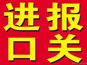 奶粉進(jìn)口代理服務(wù)全解析 上海瑟維斯進(jìn)口報關(guān)公司引領(lǐng)專業(yè)通關(guān)與翻譯服務(wù)