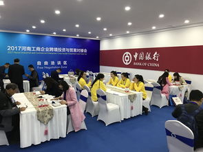 開放的河南歡迎您，專業(yè)翻譯與代理服務(wù)助您無憂前行